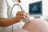 Duelo gestacional y perinatal: debemos ofrecer tiempo de despedida y dejar que elijan qué hacer con su bebé