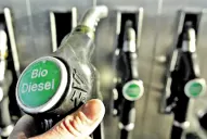 La Nación autorizó un incremento de un 50% en el corte del biodiesel