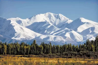 El Previaje y un recordatorio clave: ¿en qué comercios se puede utilizar la plata?