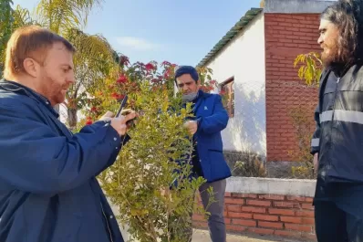 Nuevo hallazgo de Diaphorina Citri, en Tucumán, sin presencia de HLB