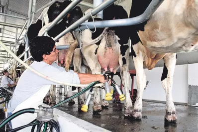 Leche, el alimento fundamental para el hombre