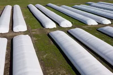 Mapearon el uso del silo bolsa en la región