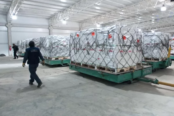 Problemas de logística y caídas de precios golpean la producción y la exportación del arándano