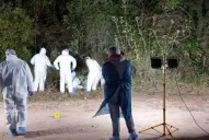 Un crimen con tinte mafioso en una ruta de El Timbó