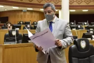 Ferrazzano: El proyecto oficialista de 'Ficha Limpia' es el único que respeta la Constitución