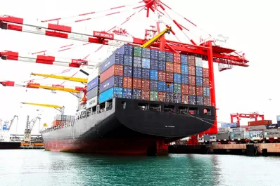 Se registró un récord de exportaciones durante la primera mitad del año