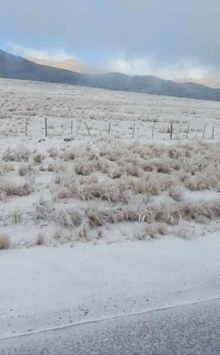 BAJO UN MANTO BLANCO. Tafí del Valle amaneció bajo la nieve.