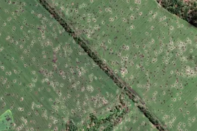 La guerra en Ucrania y los alimentos: ¿todo es culpa de Rusia?