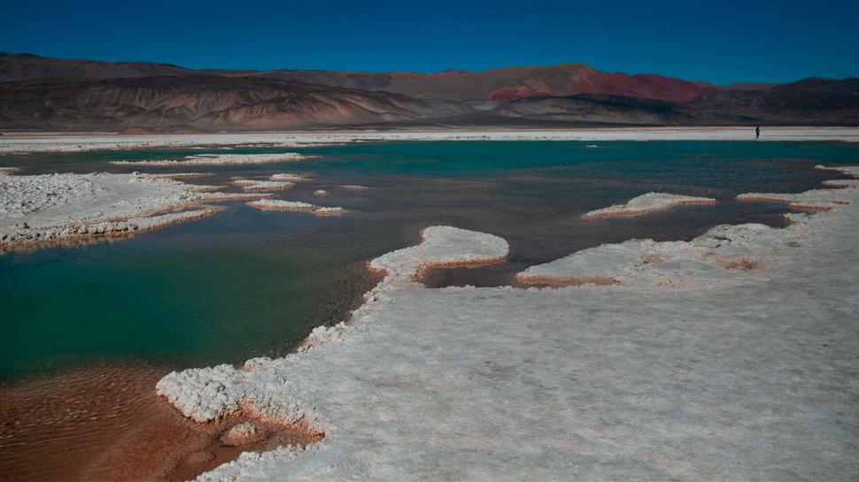 LAGUNA VERDE. Pozos de agua de color turquesa surgen entre los salares rodeados de montañas.