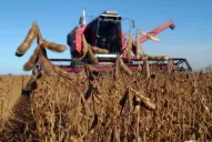 La producción del biodiesel casero, atada al precio de la soja