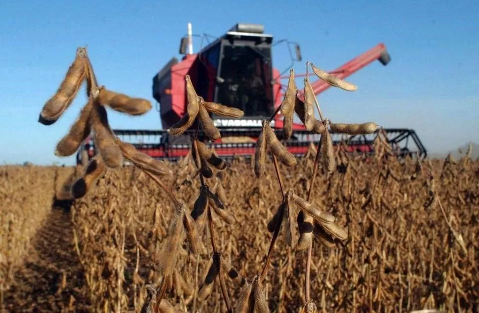 SOJA. El aceite de soja es caro, es el que usa Blasco para su producto, por lo que hoy le conviene comprar el combustible en la estación de servicio.  