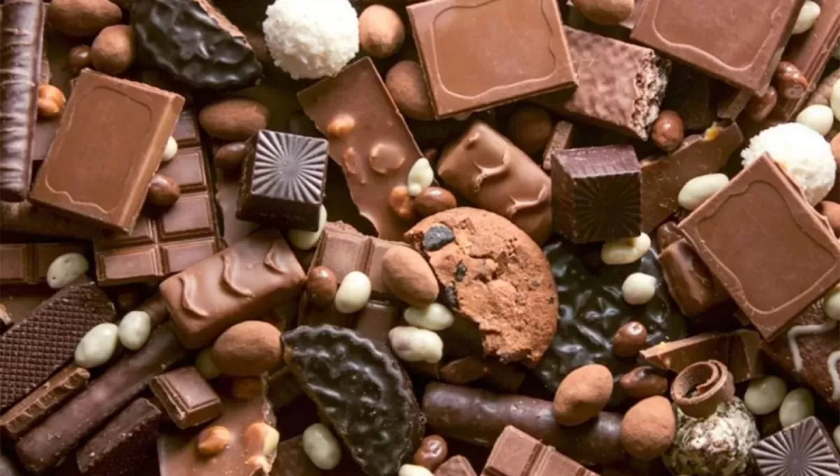 INVESTIGACIÓN. La firma de chocolates Barry Callebaut suspendió las líneas de producción por tiempo indeterminado.