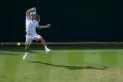 Wimbledon: Schwarztman se despidió
