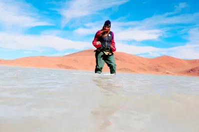 En búsqueda del ancestro común de todas las formas de vida