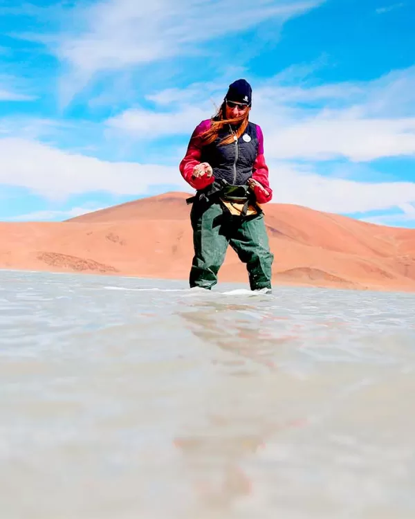 En búsqueda del ancestro común de todas las formas de vida