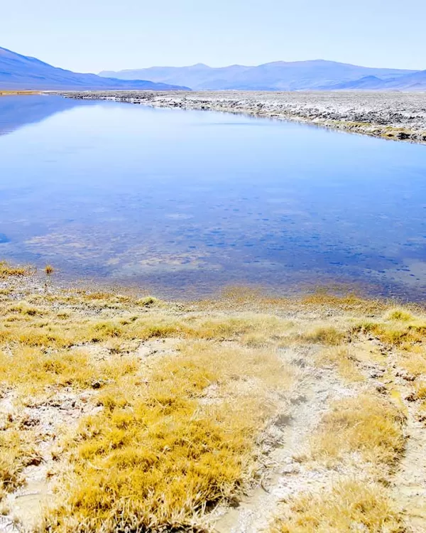 Especial multimedia: del origen de la vida a la clave para salvar al planeta