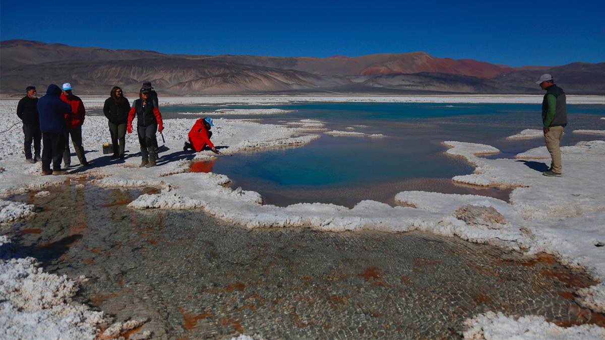 Bosques del salar. Lagunas turquesas en medio del salar de Antofalla