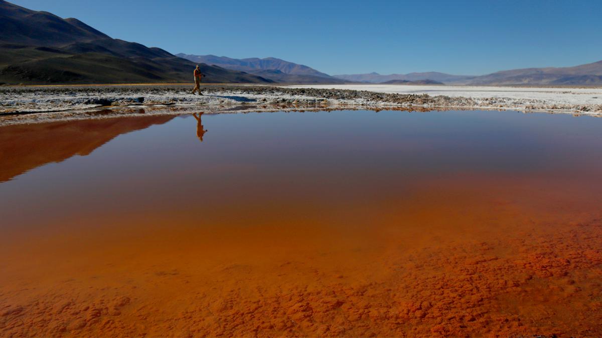 Hermosas lagunas rojizas dobde crecen estromalitos