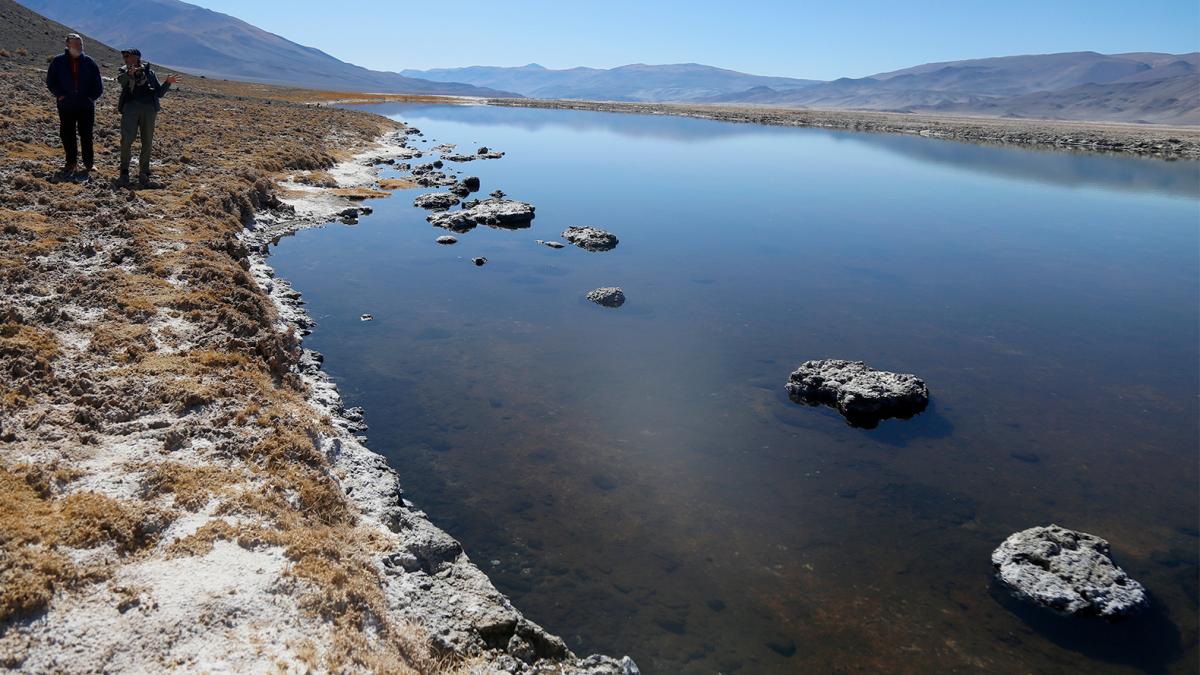 Los microbialitos de la puna se desarrollan en un ambiente similar al del planeta primitivo