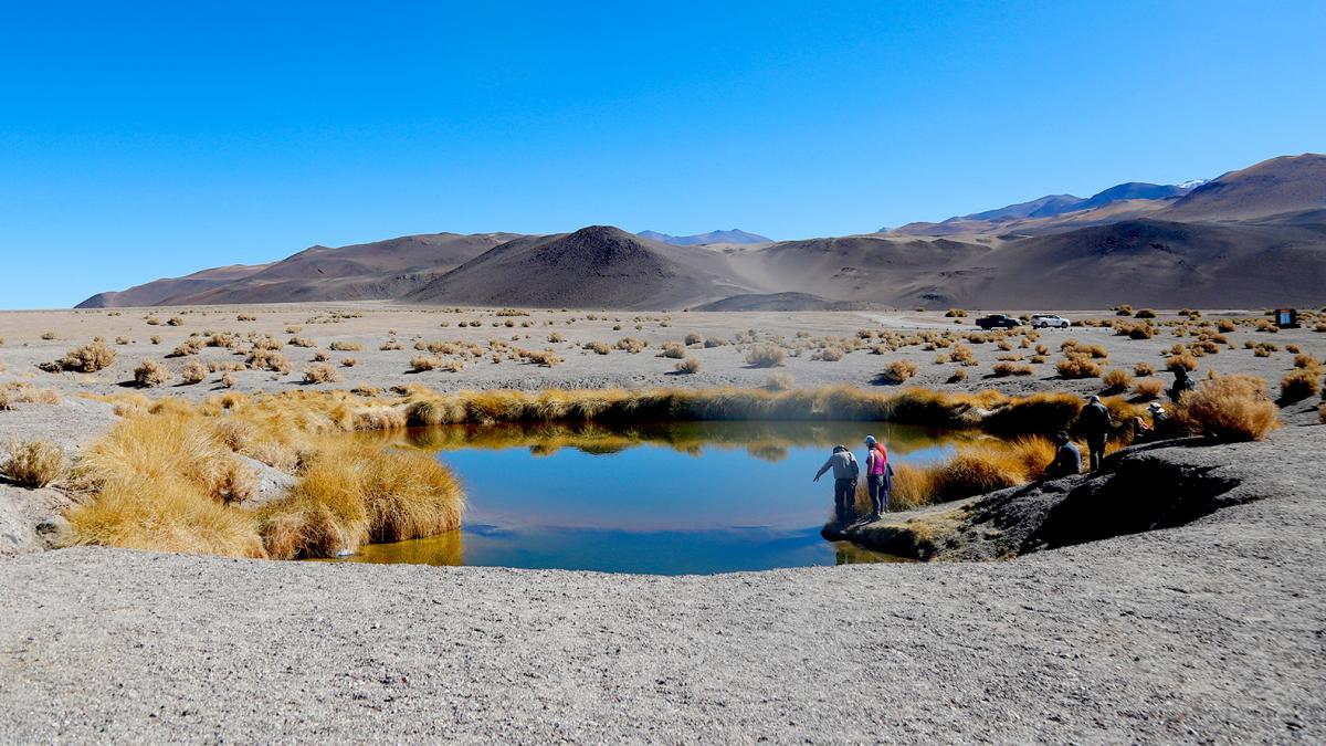 Ojos de Campo son una serie de doce depresiones que reciben agua subterranea de diferentes características