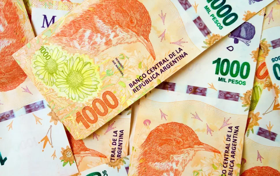 Anses pagará un extra para las madres de siete hijos o más.