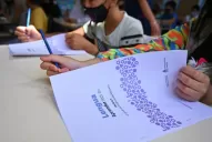 Pruebas Aprender en Tucumán: en Lengua se sintieron los efectos de la pandemia, dijo Lichtmajer