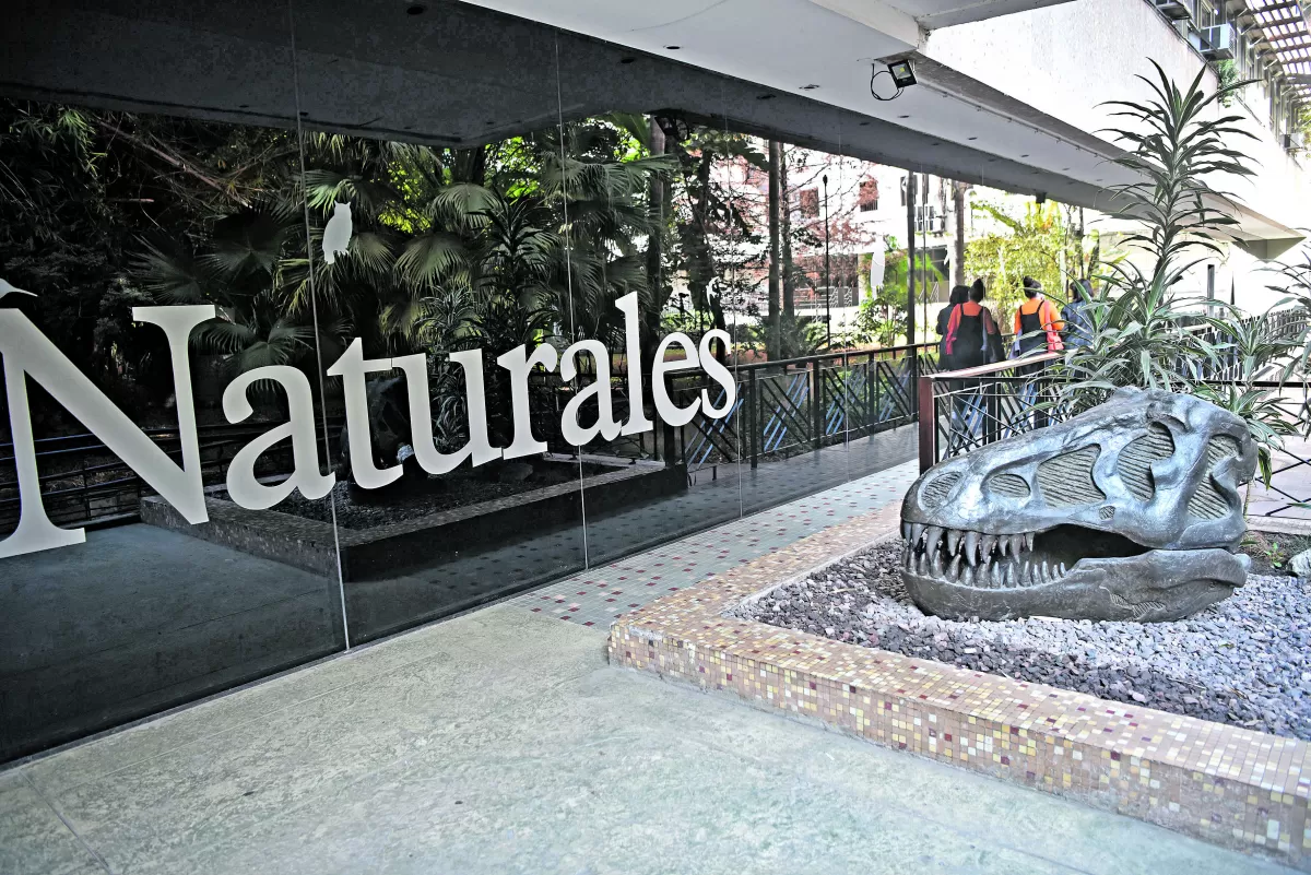 Lo que tenés que saber sobre el Museo Histórico Dr. Miguel Lillo y Jardín Botánico