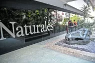 Lo que tenés que saber sobre el Museo Histórico Dr. Miguel Lillo y Jardín Botánico