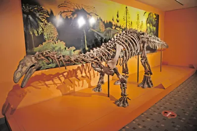 ¡Hola, dino y animales!