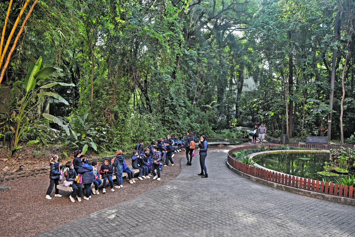 Lo que tenés que saber sobre el Museo Histórico Dr. Miguel Lillo y Jardín Botánico