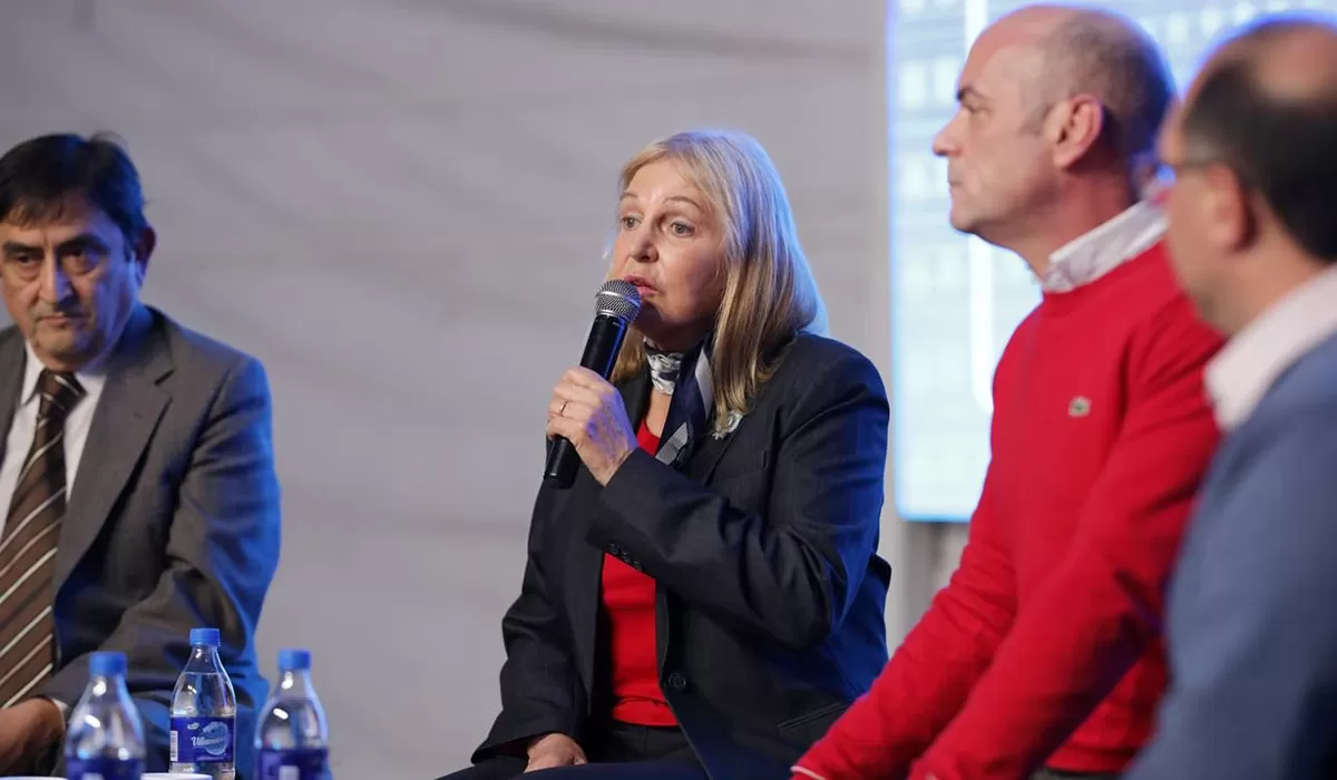 EXPERIENCIA INSTITUCIONAL. La decana de la Facultad de Derecho de la Universidad Nacional de Tucumán, Cristina Grunauer, participó de una mesa panel en el 6° Congreso Internacional de Educación, que se realizó en Tucumán.