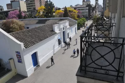 En el Día del Árbol, Tucumán se tiñe de rosado con la floración de los lapachos