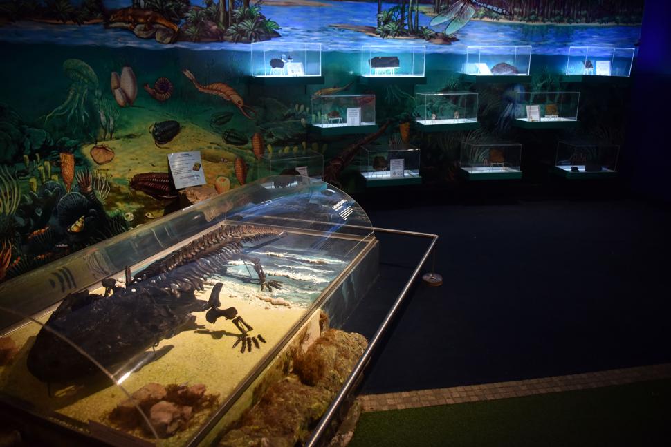 TEMÁTICAS. Una de las salas nos instruye sobre la evolución de la vida en la Tierra. la gaceta / fotos de inés quinteros orio