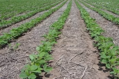 Una política firme para la conservación del suelo