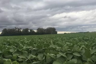 La Eeaoc llevó a cabo la 25ª edición de su taller sobre soja