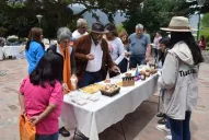 ¿Qué hay para hacer en las vacaciones en Tucumán? Tres planes para mañana