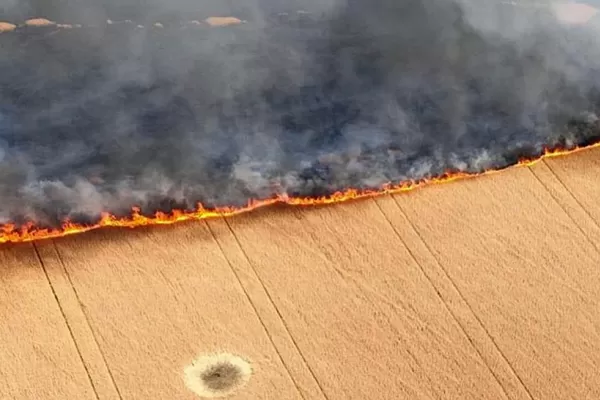 Los sembradíos de Ucrania también son campo de batalla
