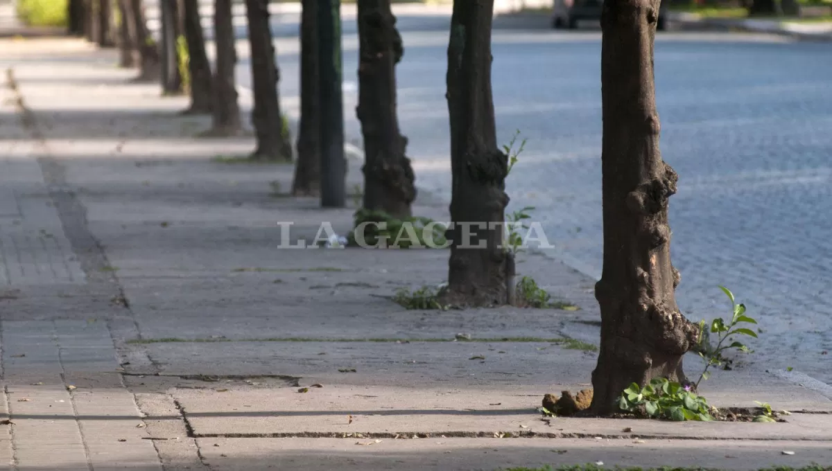 SOLEADO. Este lunes el estado del tiempo será agradable y caluroso en nuestra provincia. 