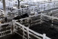 El campo va al paro en búsqueda de respuestas urgentes