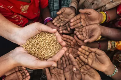 La Cruz Roja advirtió sobre los riesgos de hambruna mundial por la guerra en Ucrania