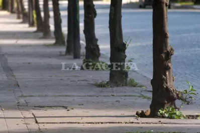 Sábado agradable en Tucumán, con una máxima de 25 grados