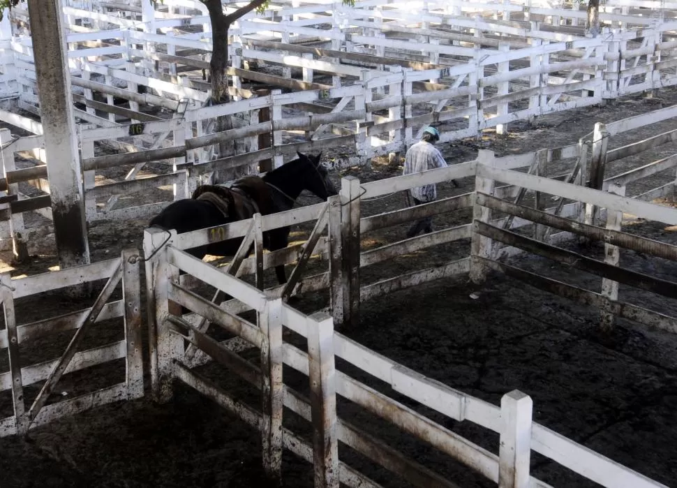 MEDIDA. En Tucumán, el paro rural contará con la adhesión de la SRA y Apronor. archivo