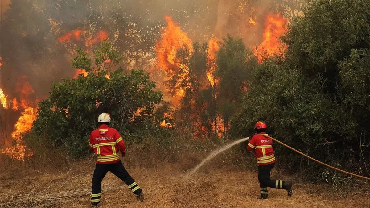 Incendios forestales.