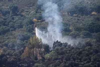 En medio de la ola de calor, España y Francia luchan contra los incendios forestales