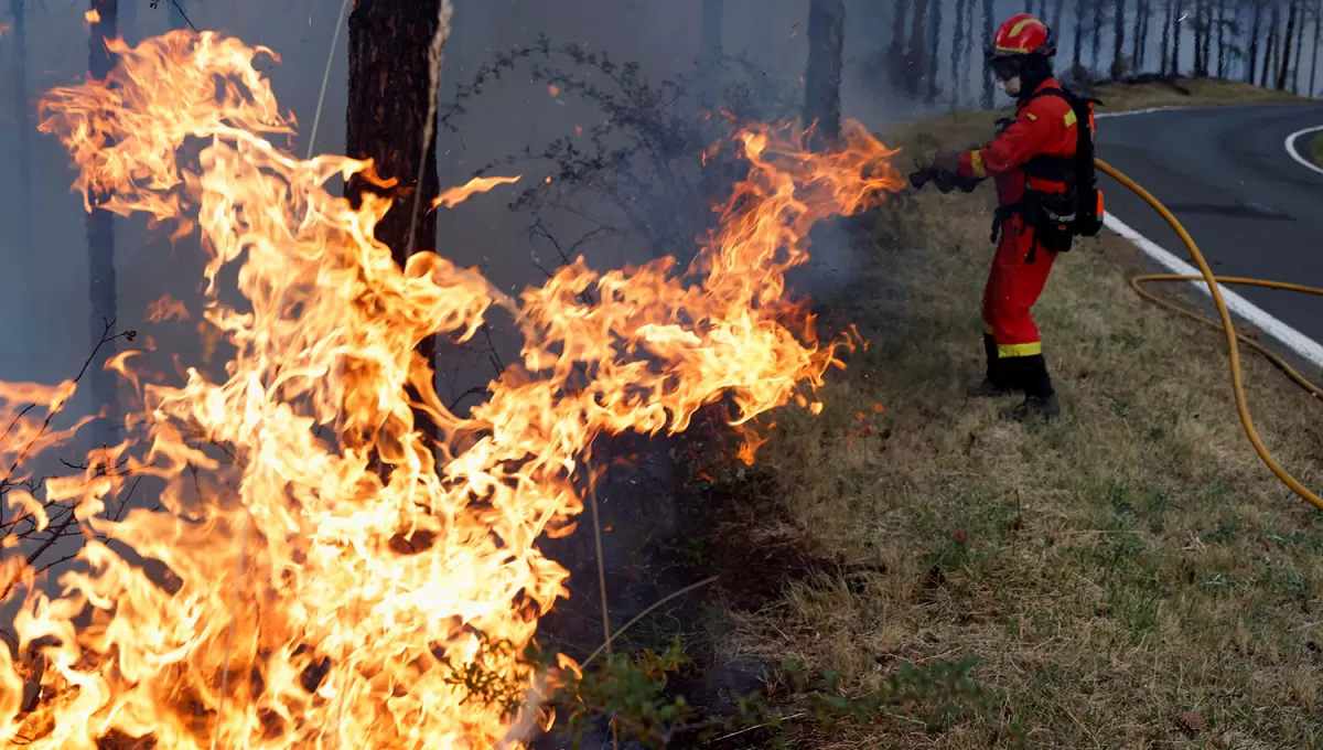 INCENDIOS. Los bomberos de la Unidad Militar de Emergencias de Navarra batallan para combatirlos.