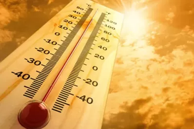 La ola de calor ya causó más de 500 muertes en España