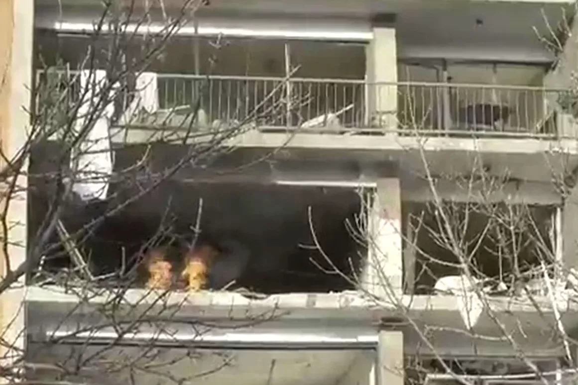 Explosión en Montevideo