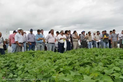 Itanoa, el fruto de la articulación y el conocimiento