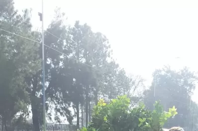 Destruyeron plantines cítricos