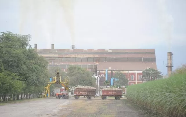 TUCUMÁN. La actividad agroindustrial, un sector dinámico de la economía.  